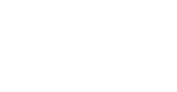 VOICE